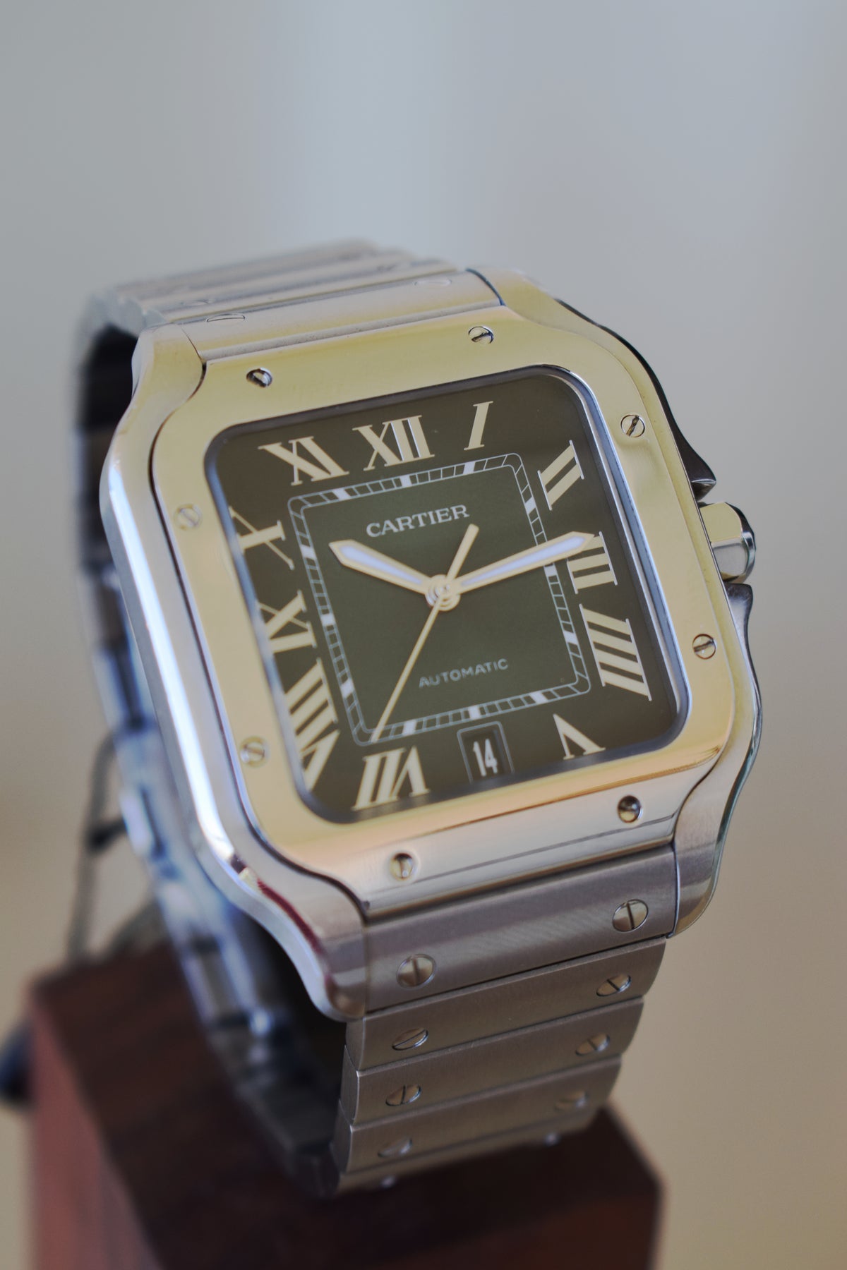 Cartier Santos WSSA0062 Green, Full Set